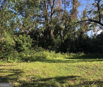 2908 Wolfe Street, Brunswick GA 31520