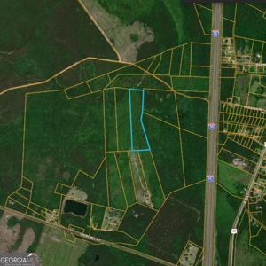 N/S King Road Tract 3, Townsend GA 31331