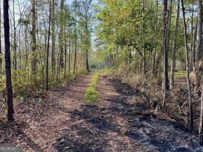 0 Shellman Bluff Rd