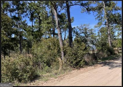LT 24X E West Autobahn Road, Sapelo Island GA 31327 PT