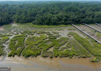 1304 Old Smokey Road, Crescent GA 31304