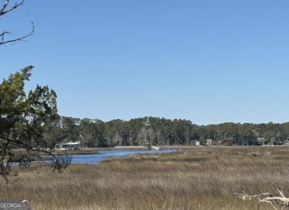 Riverview East Drive # 49, St. Marys GA 31558