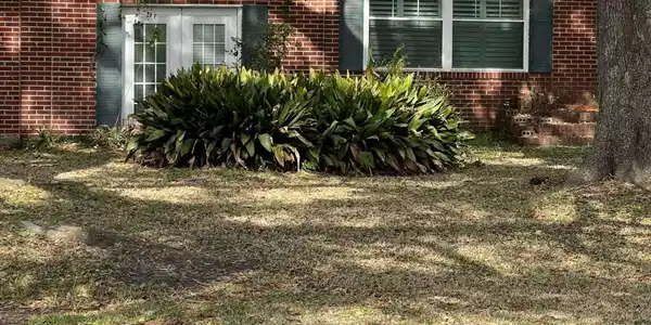 506 5th Avenue, Brunswick GA 31520