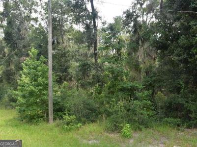 Lot 42 Japonica Drive, Midway GA 31320