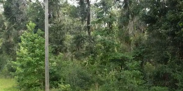 Lot 42 Japonica Drive, Midway GA 31320