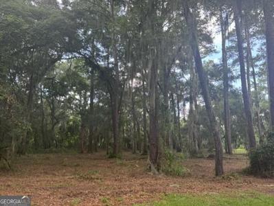 0 Old Cane Mill Lot #6 Road