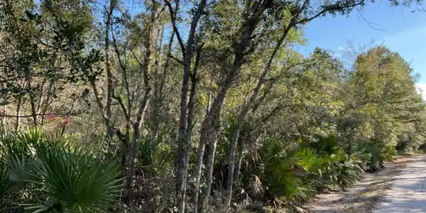 Deerwood Creek Estates Road, Waverly GA 31565