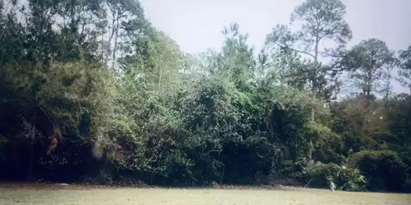 Whispering Oaks Lane, St. Marys GA 31558