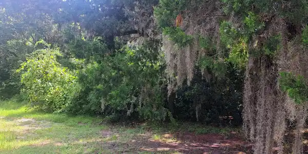 706 Ready Street, St. Marys GA 31558
