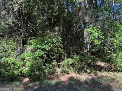113 Butler Lake Drive, Saint Simons Island GA 31522