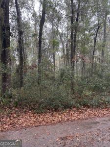 Lot 15 Harmony Hill Lane, Townsend GA 31331