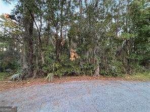 138 Picket Run, Brunswick GA 31520