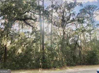 120 Montrose, St. Simons GA 31522