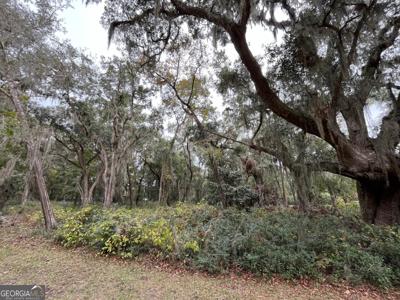 Carnochan Drive, Darien GA 31305