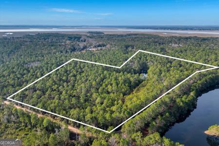 Steeple Chase Lane, Richmond Hill GA 31324