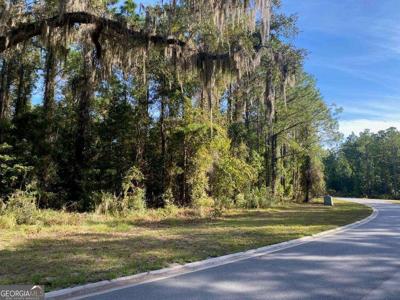 Lot 143 Beacon Pointe Parkway, Waverly GA 31565