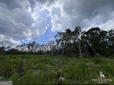 2800 Youngs Island Road, Townsend GA 31331