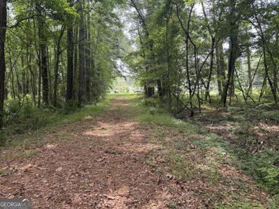 19.5 ACRES W S Highway 17, Townsend GA 31331