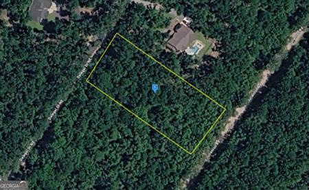 1545 Delegal Drive, Townsend GA 31331