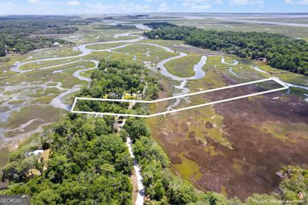 Lot 42 St Joseph's Point, Darien GA 31305