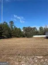 PARCEL 1 Shellman Bluff Road NE, Townsend GA 31331