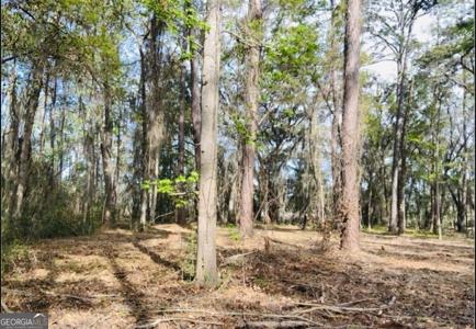 Lot 8 W BLACK ISLAND Road SE, Darien GA 31305