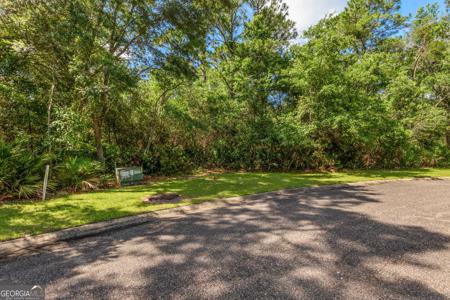 Bonito Loop, St. Marys GA 31558