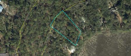 Lot 28 E Black Island Road, Darien GA 31305