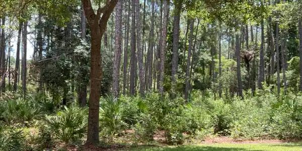 Lot 242 Lateral Buoy Lane, St. Marys GA 31558
