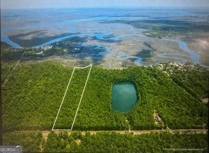 Dover Bluff Road, Waverly GA 31565