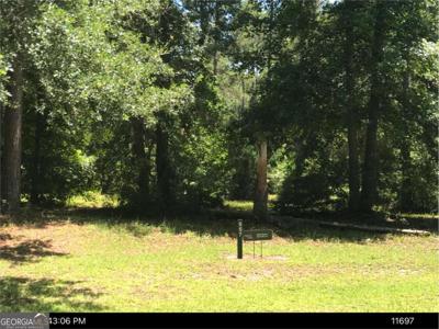 Lot 557 NE Wood Stork Drive, Townsend GA 31331