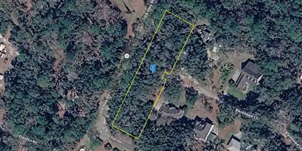 1200 Blackbeard Lane, Darien GA 31305