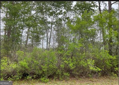 1601AC # 4, Townsend GA 31331