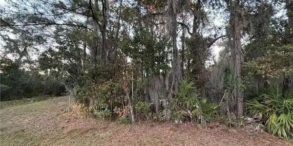 147 Picket Run, Brunswick GA 31520