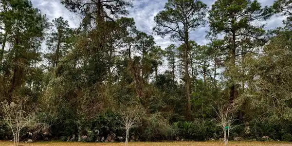 306 Clubhouse Circle, St. Marys GA 31558