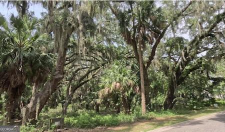 919 Wagner Lane, St. Marys GA 31558