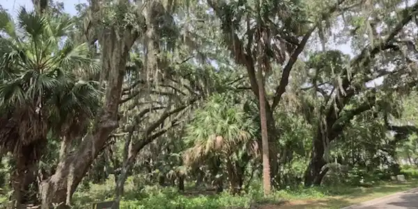 919 Wagner Lane, St. Marys GA 31558