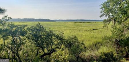 Lot 27 St Catherine Circle, Richmond Hill GA 31324