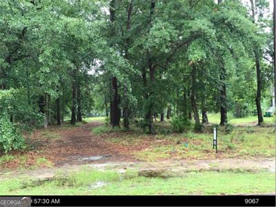 Lot 181, Townsend GA 31331 Winterberry Court