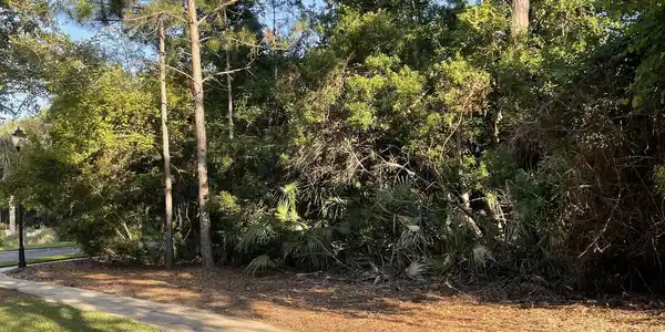 Lot 318 Charleston Way, St. Marys GA 31558