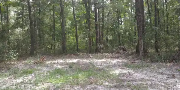 1046 Harmony Hill Lane NE, Townsend GA 31331