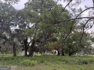 Lot 38, Darien GA 31305 119 Sapelo Circle