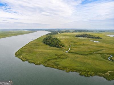 Lower Barbour Island, Townsend GA 31331