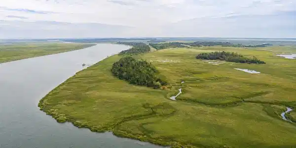 Lower Barbour Island, Townsend GA 31331