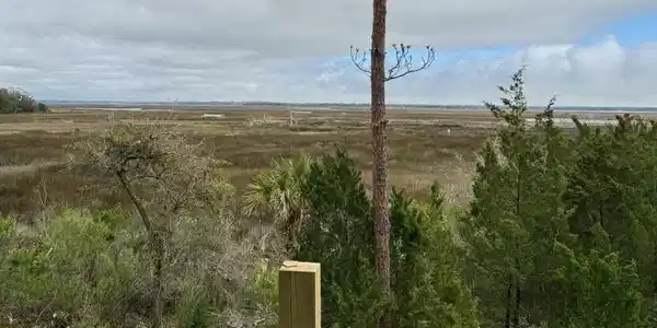 311 Galley Lane # 794, St. Marys GA 31558
