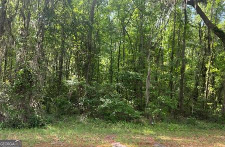 Youngman Road, Townsend GA 31331