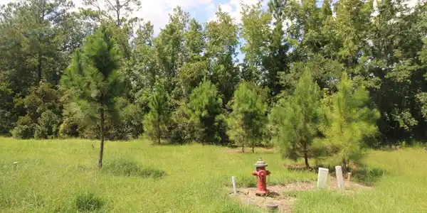 203 Drayton Circle, Brunswick GA 31525