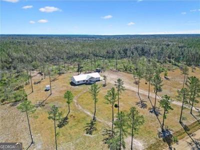 1757 McIntosh Trail SE, Townsend GA 31331