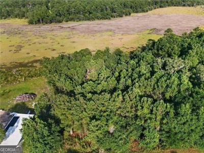 Lot #23 Barnstorm Road NE, Townsend GA 31331