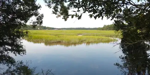 2061 Belle Island Road, Richmond Hill GA 31324